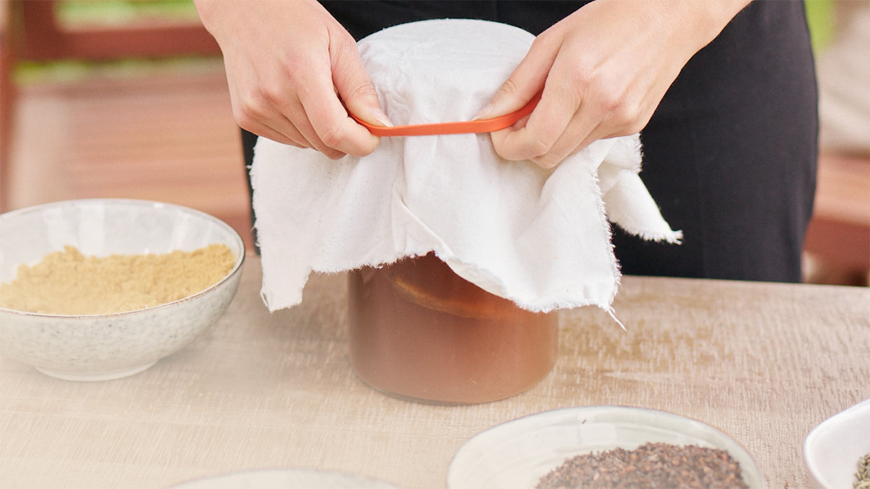 Kombucha Fermentation grosses Glas wird mit Baumwolltuch abgedeckt